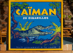 Caiman