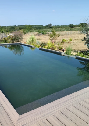 piscine conventionnel transformé en baignade écologique