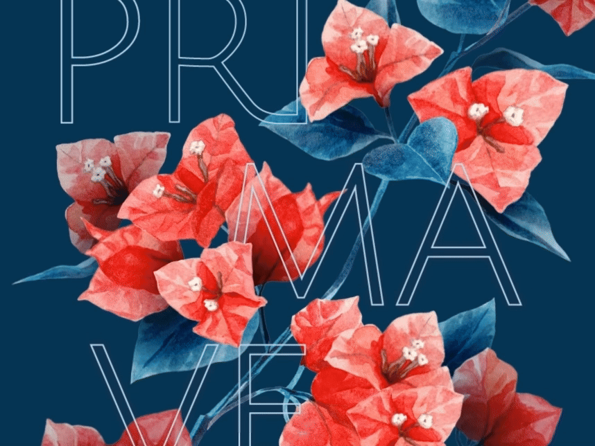 Primavera-SomaruDesign.gif
