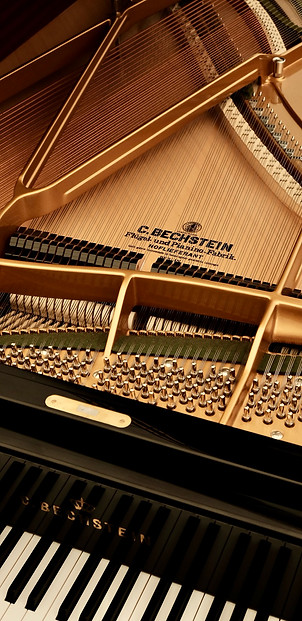 Bechstein flygel
