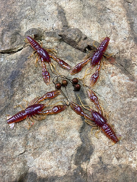 Soft Shell Craw 2 1/4 inch or 2 3/4 inch