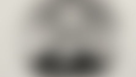 Tecknad porträtt av en äldre man med glasögon och skägg, bakgrund med hav och en flygande fågel, svart och vit med lugn känsla.