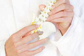 iStock_000012318624_Small.jpg