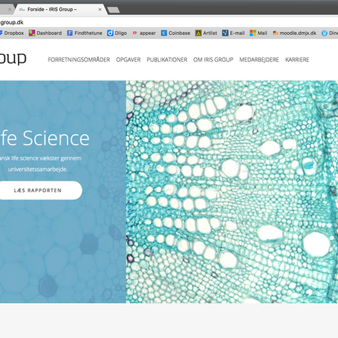 Nyt website til konsulenthuset IRIS Group