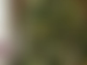 Caught up in the Christmas Rush?