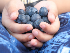 "WHOA - Is this like a Farm or a Forest or Something?" 