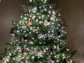 It is Beginning to Look a Lot Like Christmas!!!