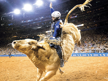 Top Gift Trends for Houston Livestock Show and Rodeo