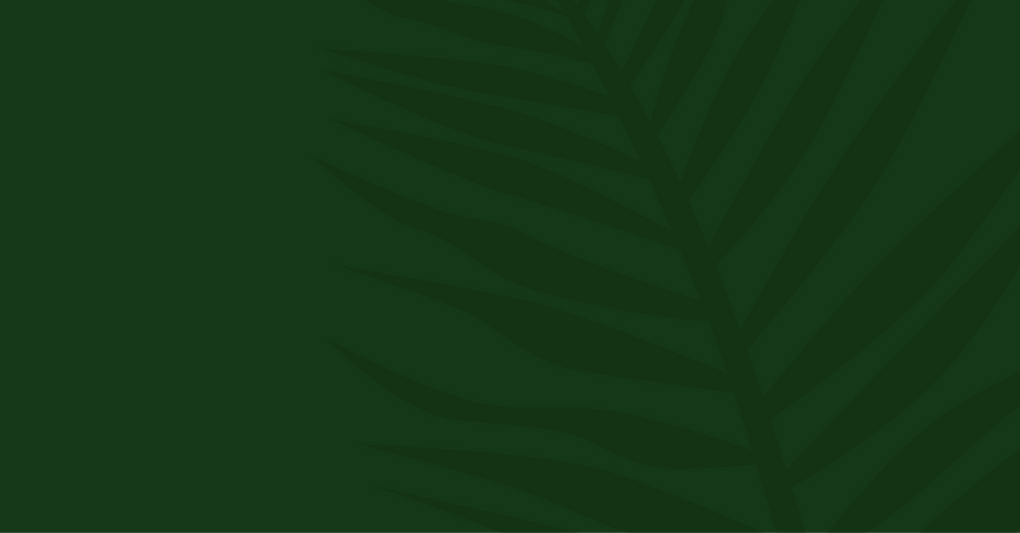 Fres_bite_website_fomdo.png