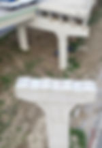 fullsizeoutput_c7c.jpeg