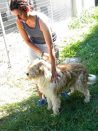 DSCN5221 (480x640).jpg