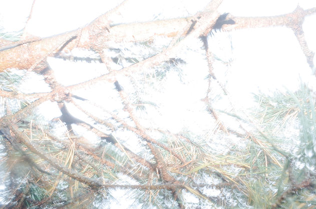 R0018888.JPG