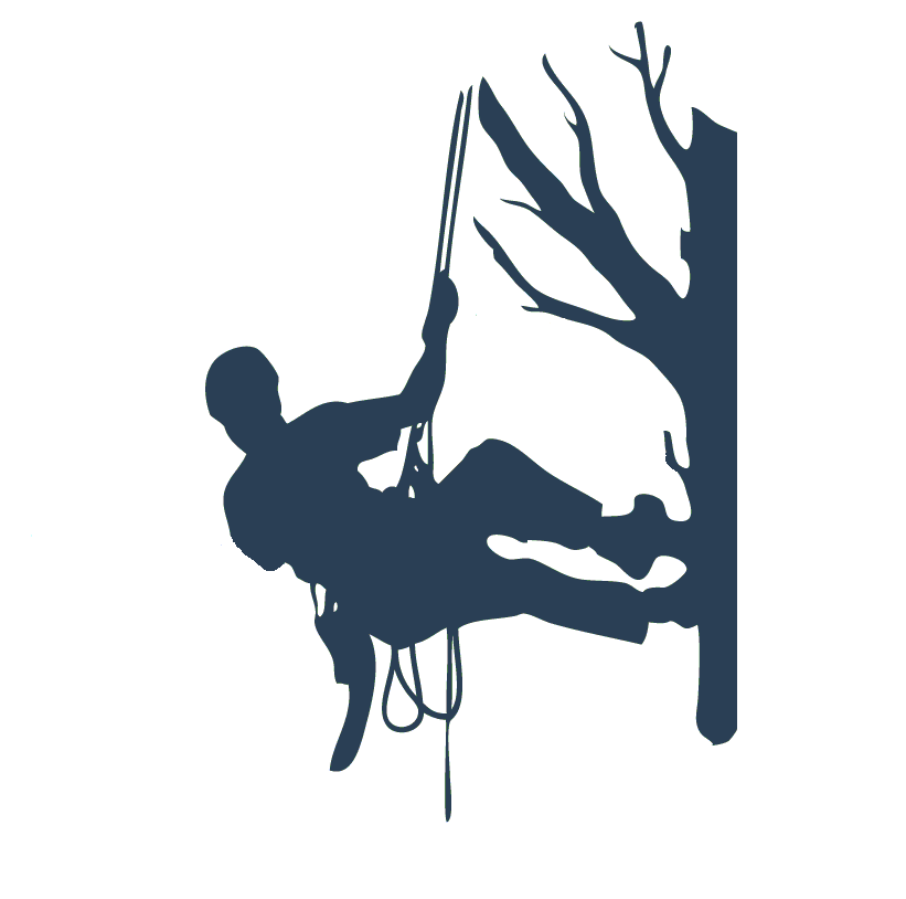 logo.GIF