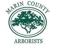 Marin County Arborists logo with an oak tree