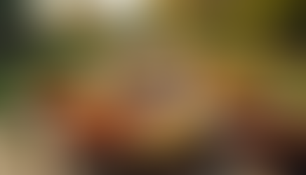 Celebrating Juneteenth: A Soul Food Journey