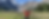 blurred bg 2 - nature.png