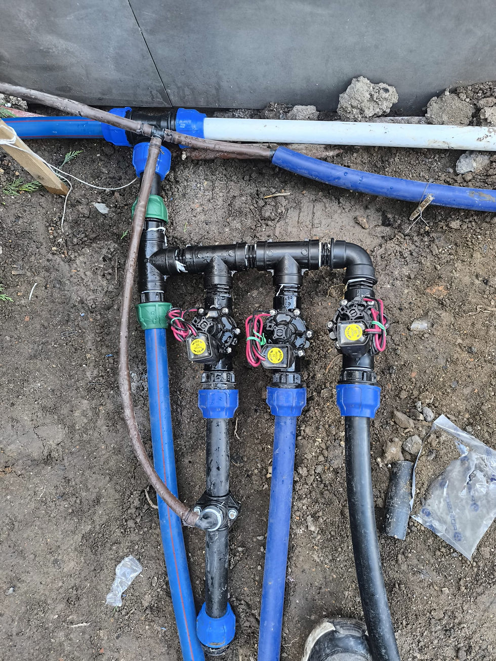 WhatsApp Image 2025-10-17 at 17.30.04.jpeg