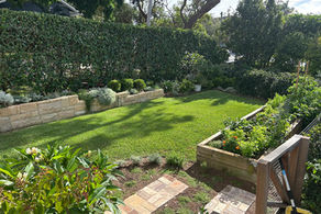 Custom sandstone retaining wall garden beds and timber raised planter boxes in a Sydney backyard.