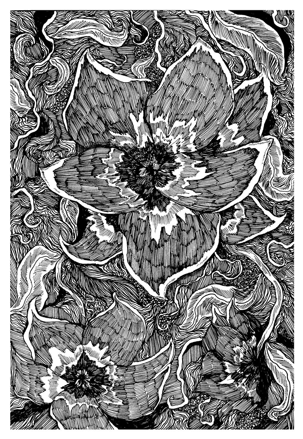 The Potion Pansy
