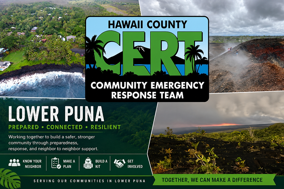 Lower Puna CERT local volunteers in a training session