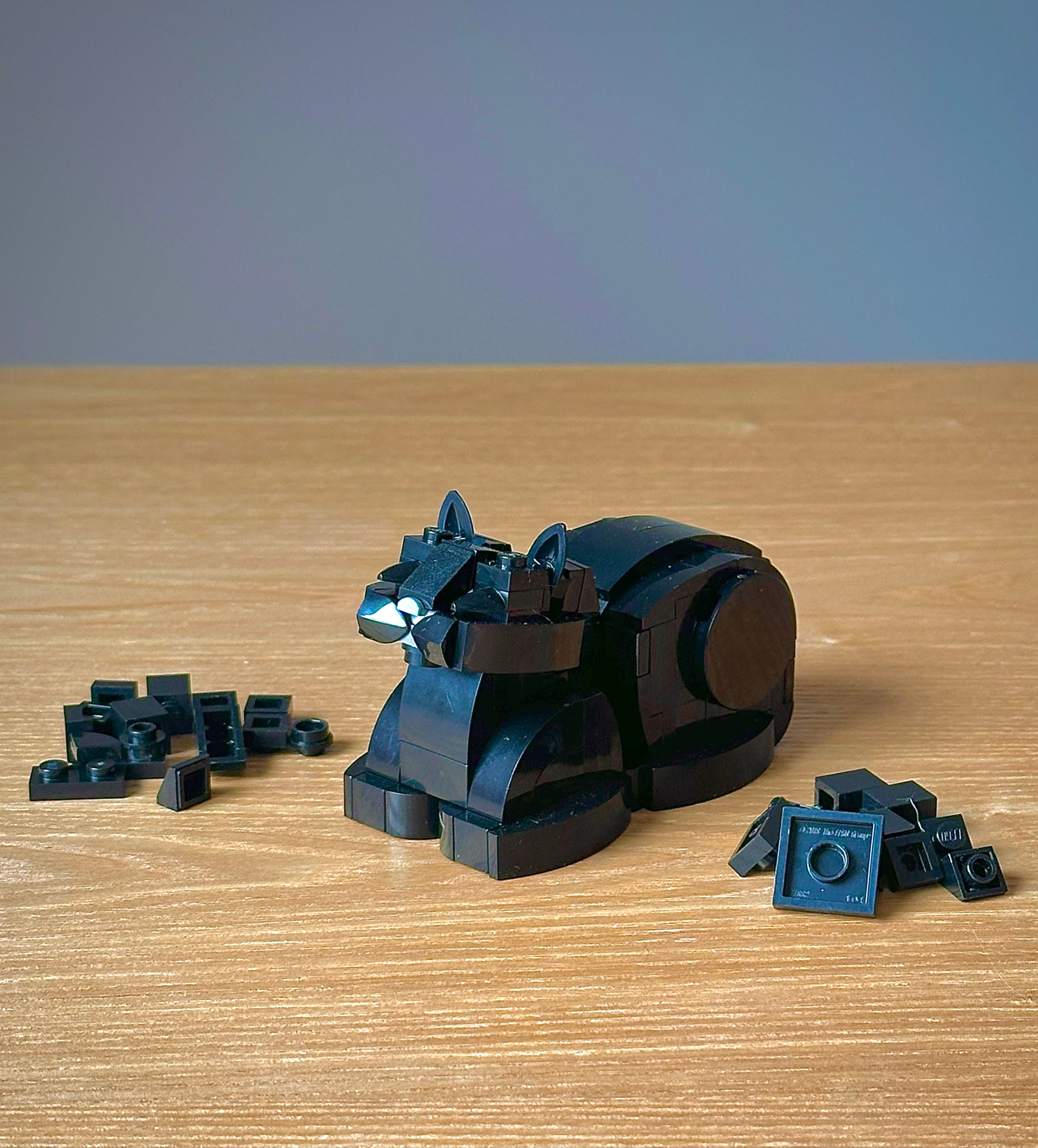 Black Cat Loafing Bricks & Instructions 