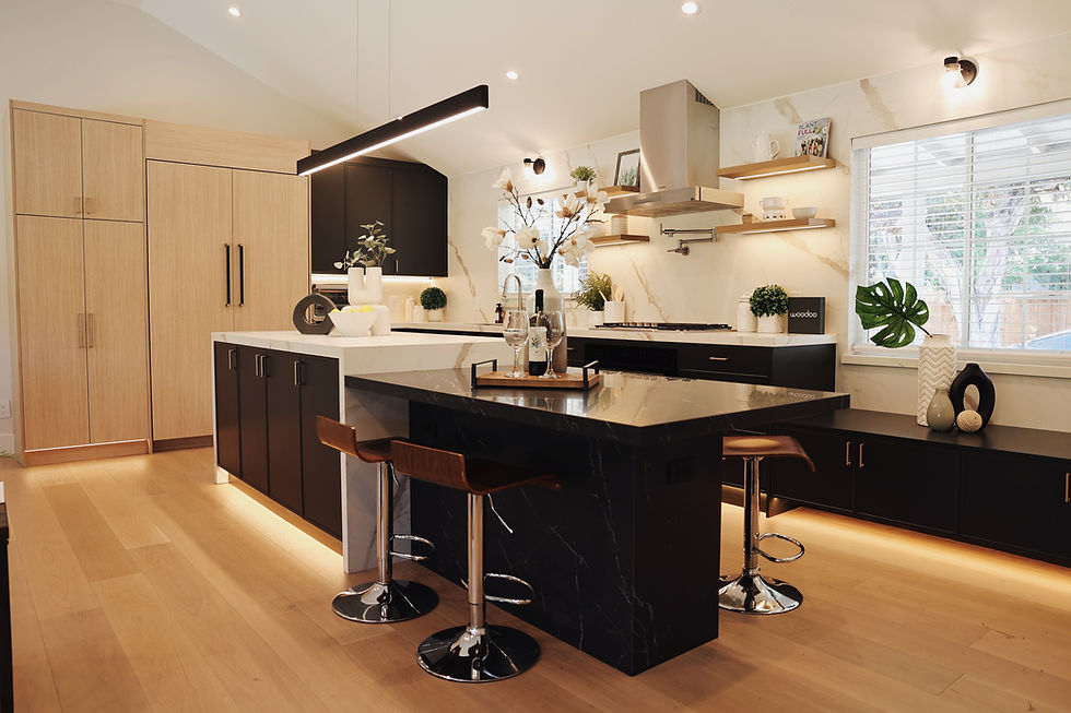 Modern kitchen cabinet insight with black and wood finishes