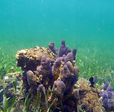 M0013855.JPG