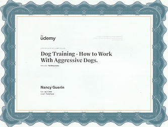 Dog Training with aggressive dogs.jpg