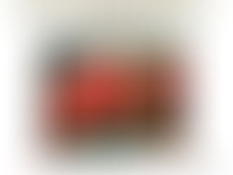 An afternoon`s autumn in a forest