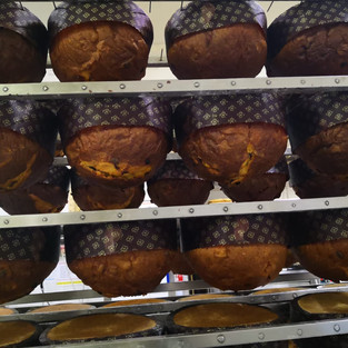 Panettone being made at Zoppi Pasticceria in Jesi, Le Marche