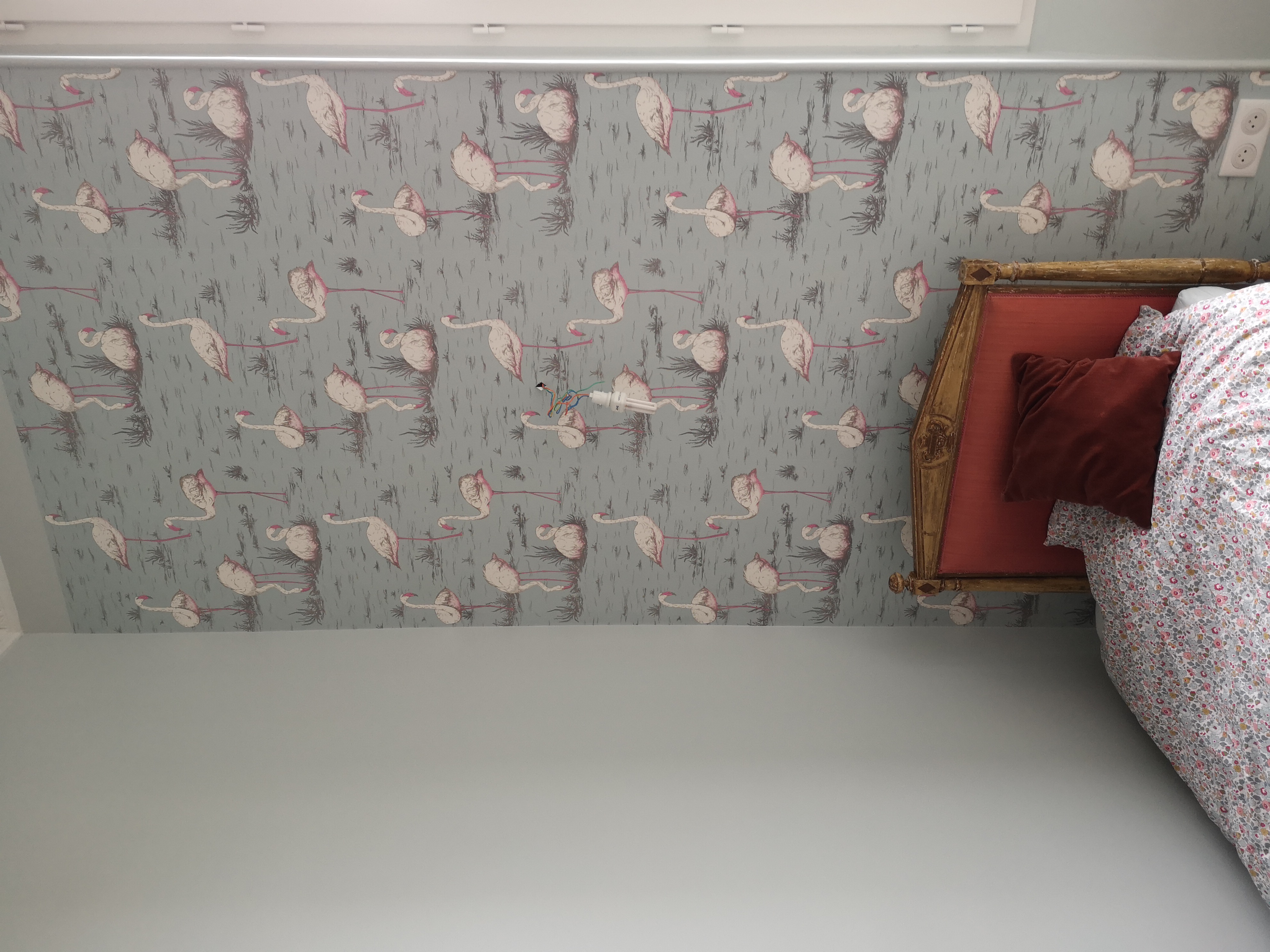 FLAMINGOS C&S