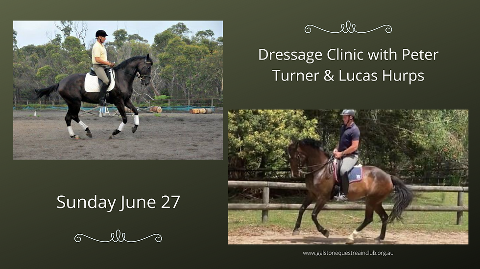 Dressage Training with Peter Turner & Lucas Hurps