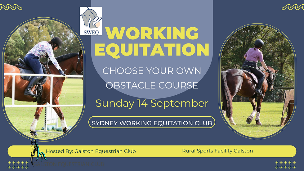 Working Equitation: Choose your own Obstacle Course