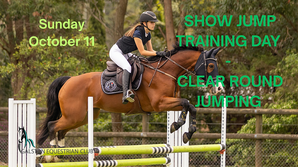 Show Jumping Training Day