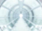 Future Life Regression