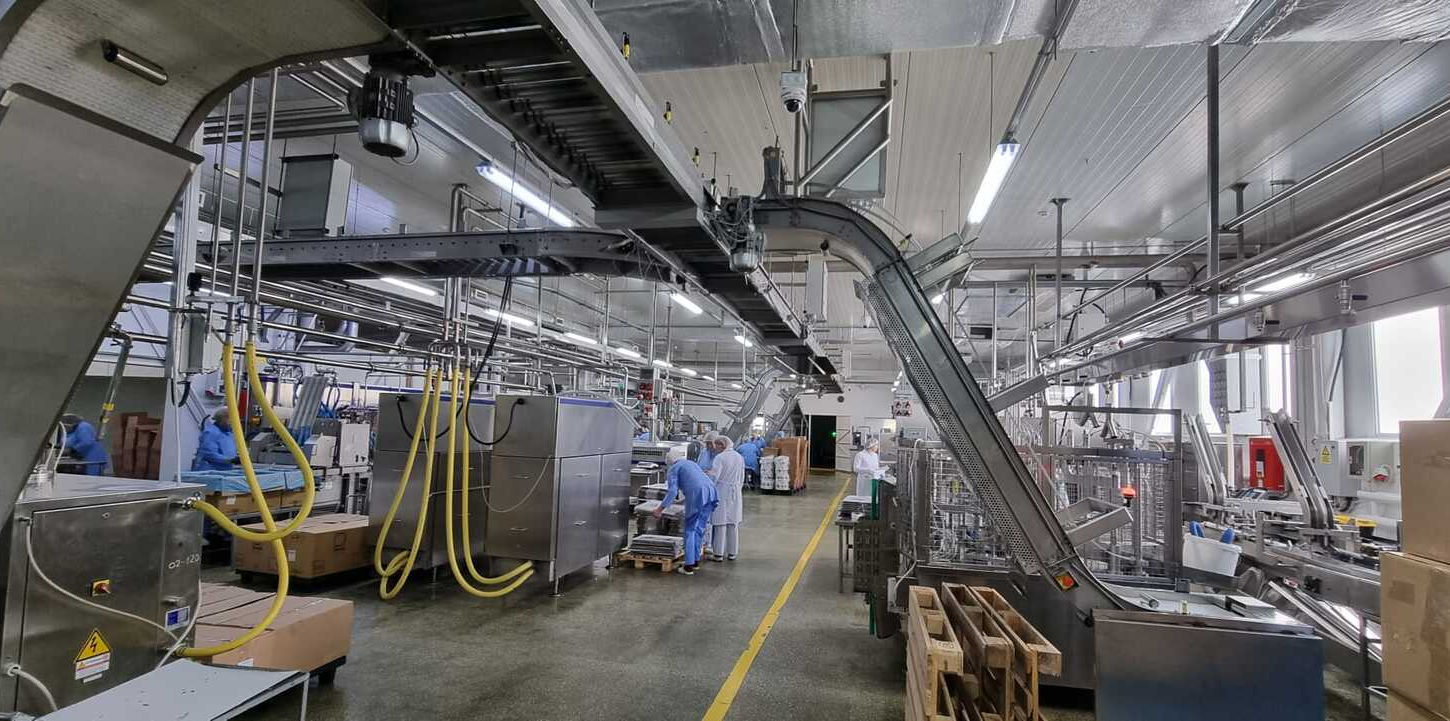 processing line and wrapping products conveyor system for flows hygienic in industry dairy