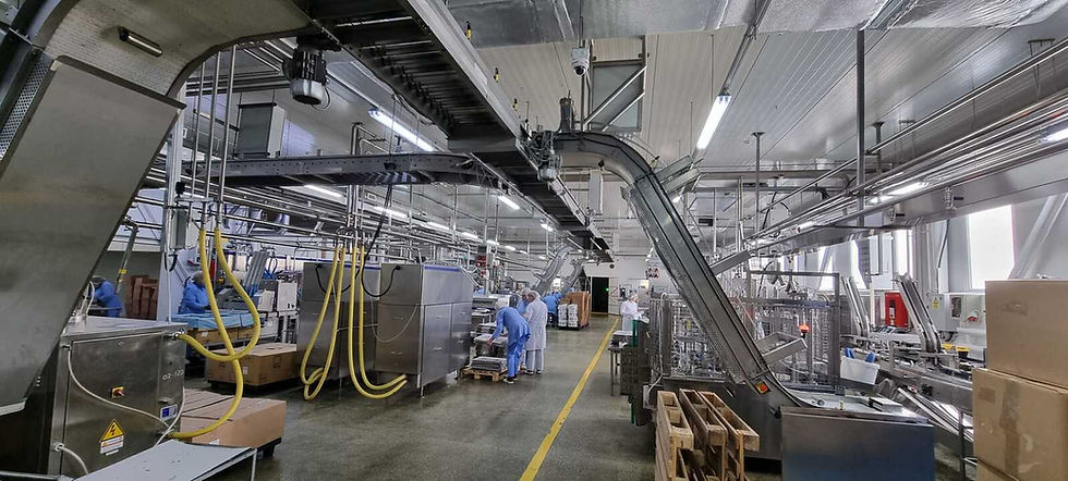 conveyor stainless steel AISI 304 for zones of production with washing frequent from industry dairy
