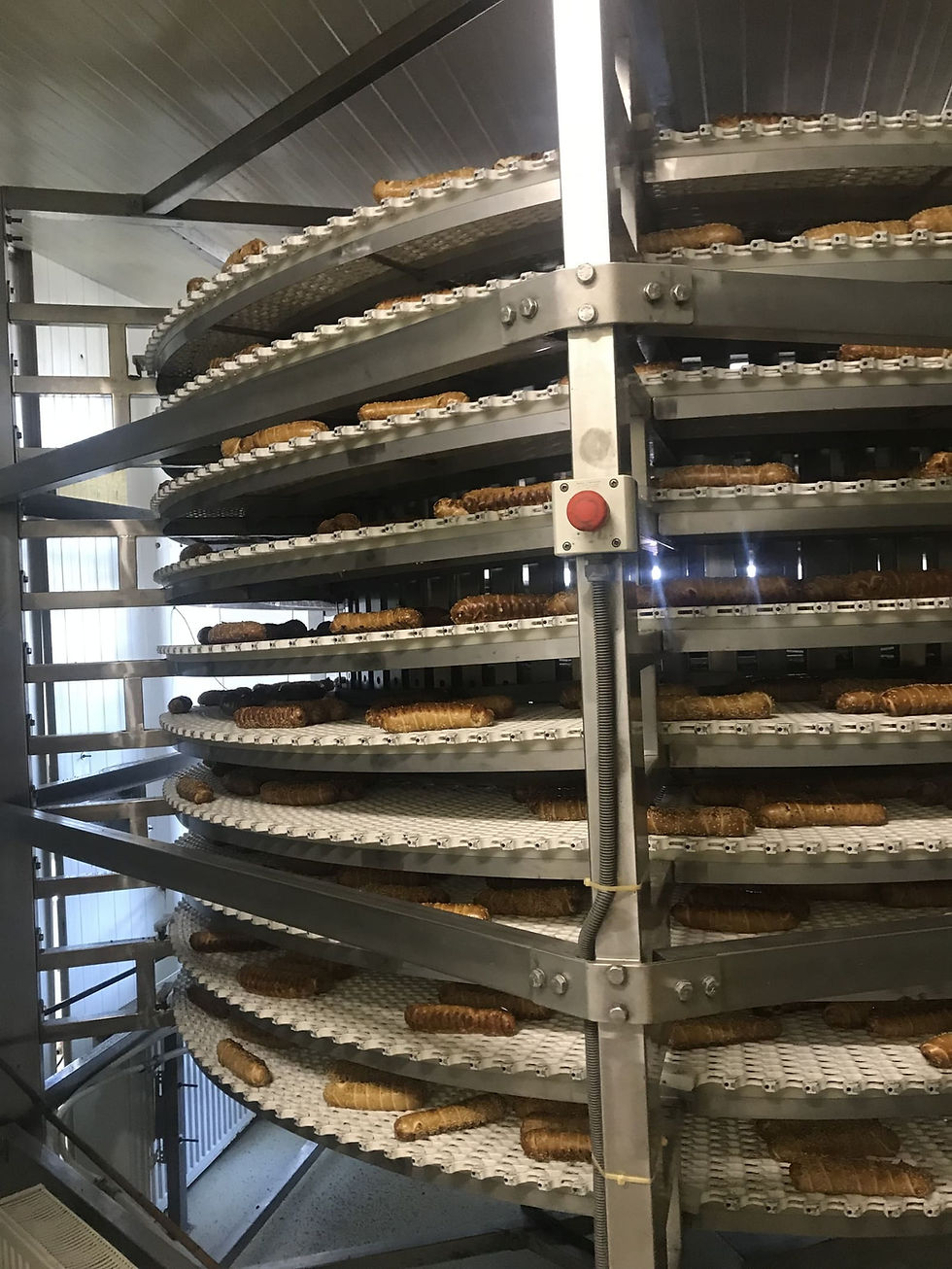 Sisteme spiralate din inox pentru răcire pe flux în industria alimentară - SELF TRUST