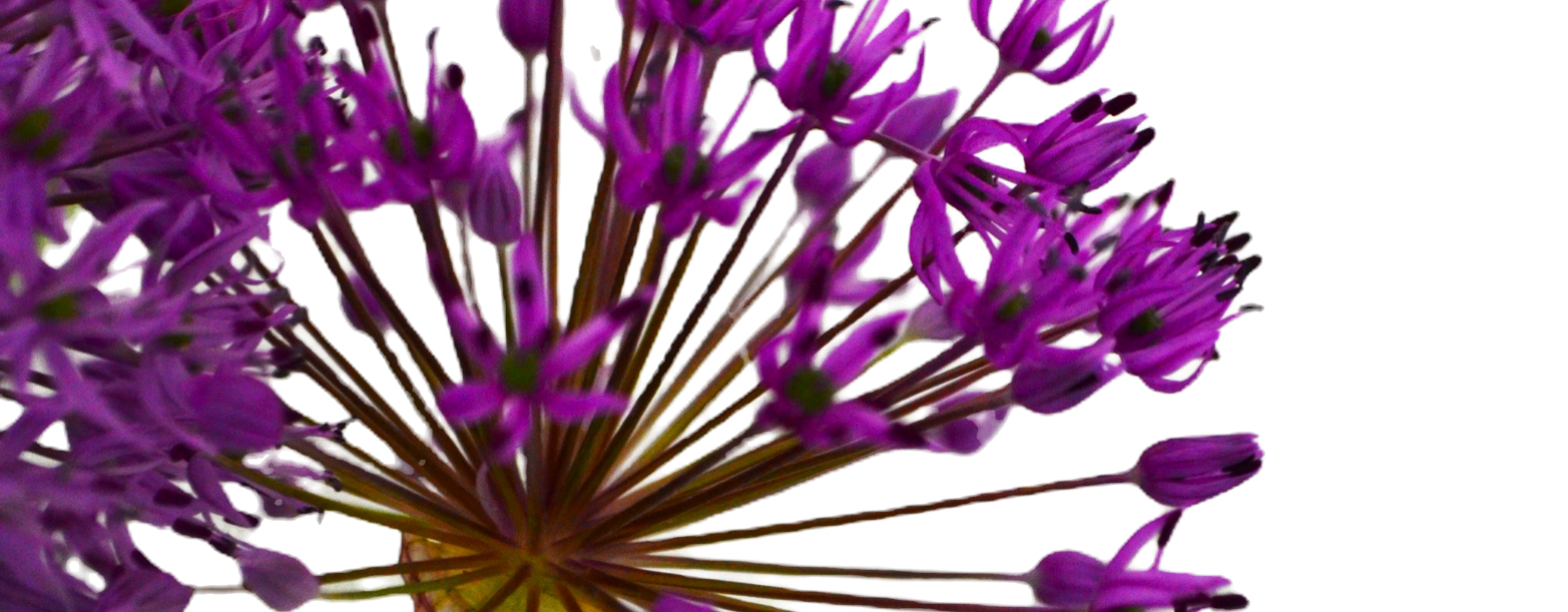 DSC_0580a.JPG