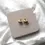 Thumbnail: Crescent Earrings