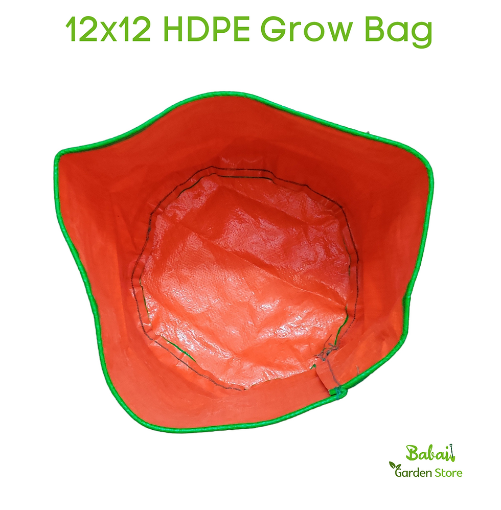 Thumbnail: 12x12 HDPE 240 GSM  Grow Bag