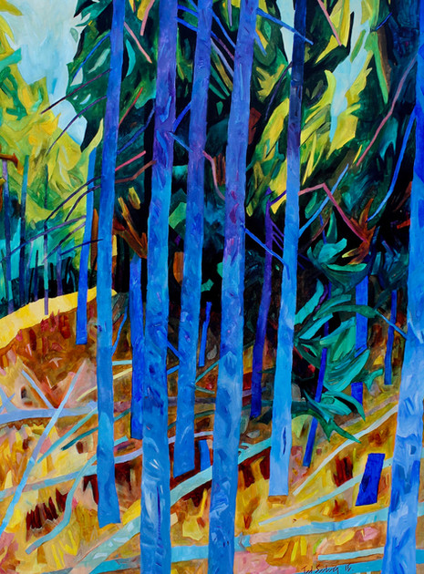 Blue Spruce *