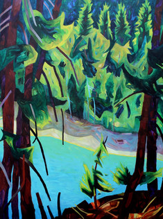 Carpenter Lake *
