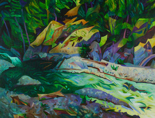 Upper Squamish River *