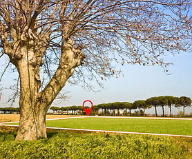 Las Matas (XIX), Las Rozas de Madrid