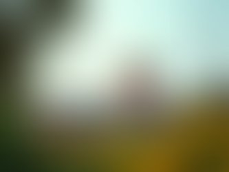 Key Updates on the Foreign Exchange Management Act in India You Need to Know