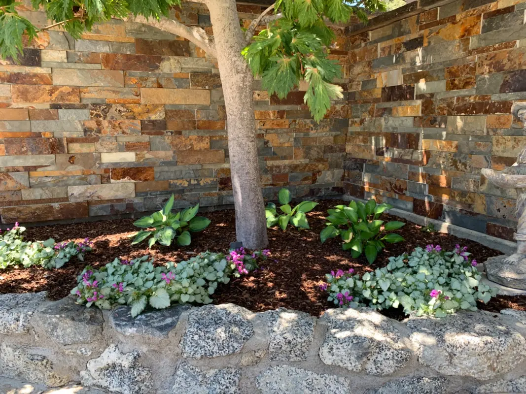 Plant Installation
