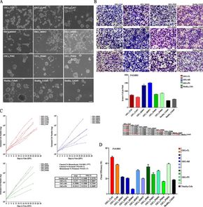 Different states of stemness of glioblastoma stem cells sustain glioblastoma subtypes indicating novel clinical biomarkers and high-efficacy customized therapies