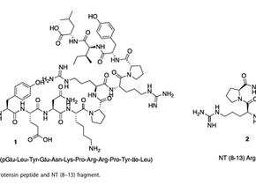 Therapeutic approaches targeting the neurotensin receptors