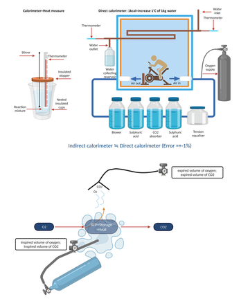 Clinical Application and Significance of Indirect Calorimetry in Neurocritical Care. Journal of Neurointensive Care 2023 [교신저자]